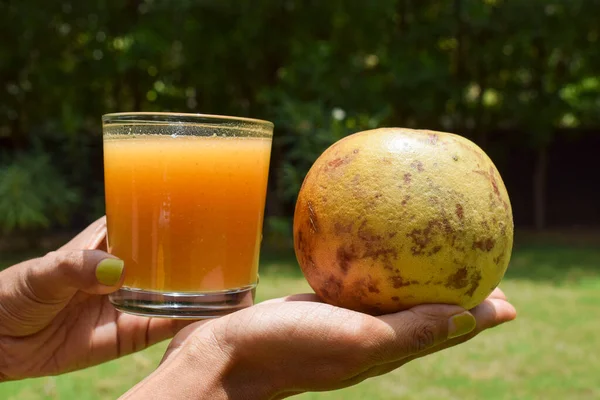 Indian Bael Bel Fruit Juice Also Known Wooden Apple Golden — ストック写真