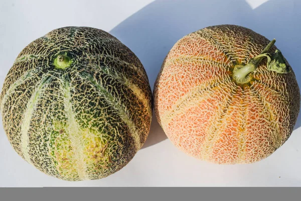 Side View Green Yellow Color Striped Musk Melon Cantaloupe Also — Stockfoto