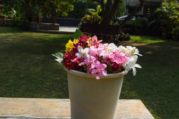 Fleurs Multicolores Différents Types Couleurs Fleurs Dans Seau Eau Frangipani — Photo