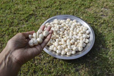 Makhana, kabarık nilüfer tohumu ya da tilki fındığı olarak da bilinir. Diyet yapmak ya da oruç tutmak için yenen Hint yemekleri.