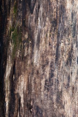 eski ahşap doku arkaplanı