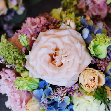 arka plan bir çiçek