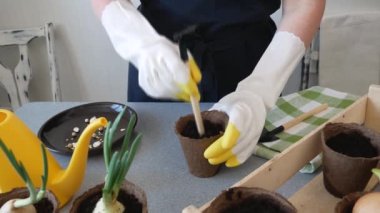 Kadın çiftçi kendi elleriyle küçük saksılara sebze tohumları ekiyor. Organik tarım, bahçıvanlık..