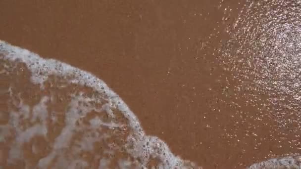 Mała fala morska z pianką, tocząca się po piaszczystej plaży. Zbliżenie kojącej piankowej wody. Pojęcie odpoczynku, podróży, relaksu — Wideo stockowe