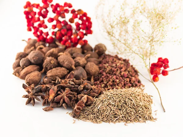 Chinese spices on the white background — Stock Photo, Image