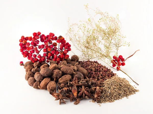 Chinese spices on the white background — Stock Photo, Image