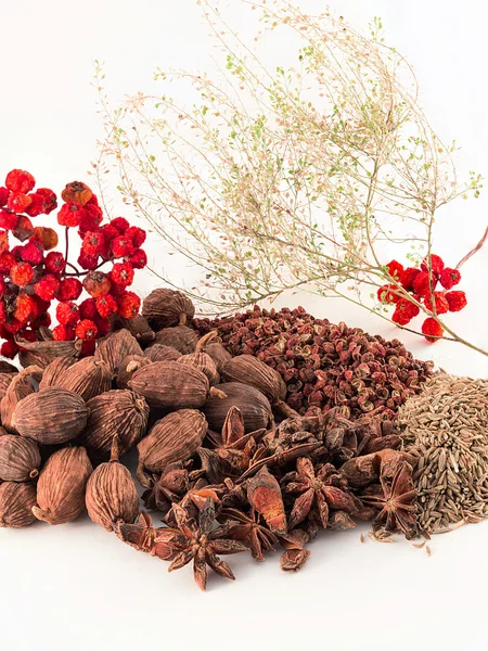 beyaz zemin üzerinde Çince baharat