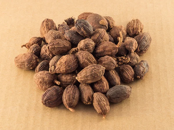 Nutmeg — Stock Photo, Image