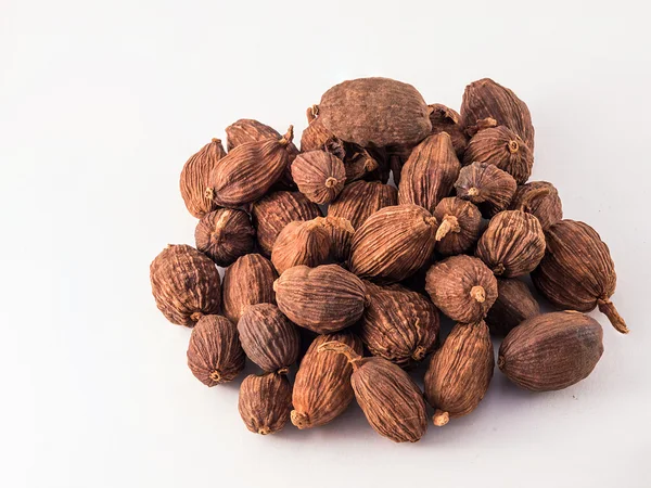 Küçük Hindistan cevizi