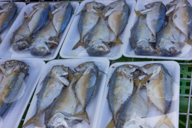 Tayland yerel pazarda uskumru