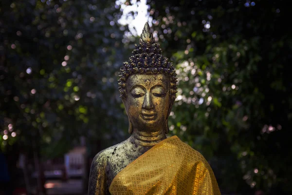 Buddha i skyggen – stockfoto