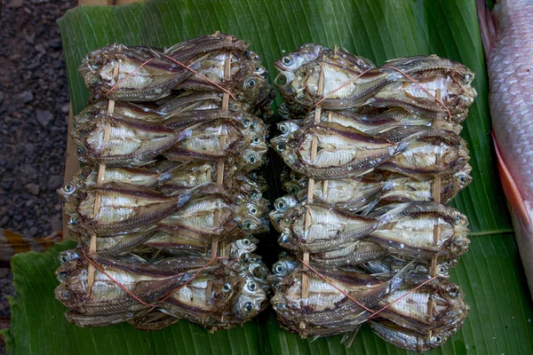 Pescado seco en Tailandia y mercado local —  Fotos de Stock