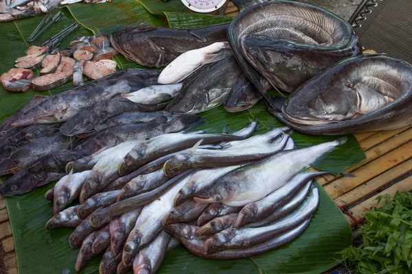Zoetwatervis op lokale markt van thailand — Stockfoto