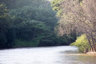 Tayland nehri