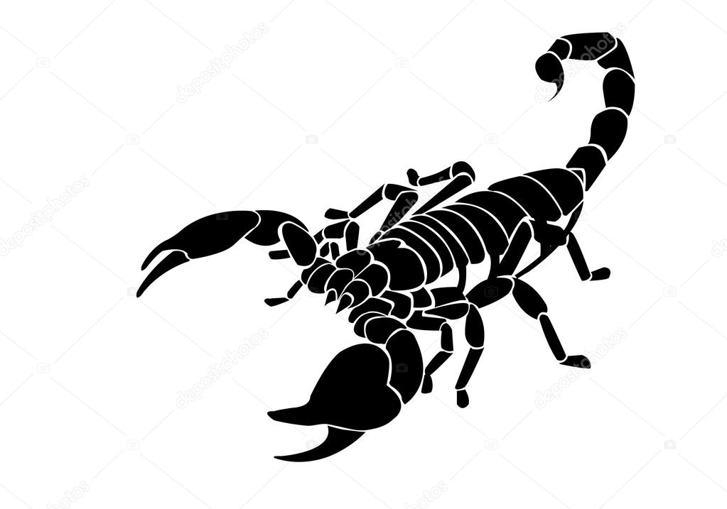 Black scorpion vector