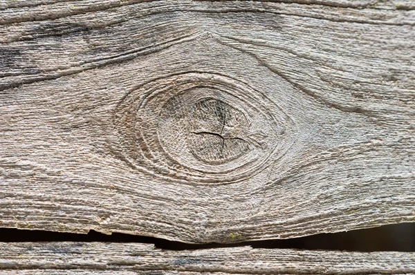 Texture di legno antico — Foto Stock