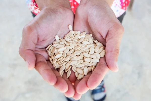 Sementes de cabaça de cera kernel na mão da mulher — Fotografia de Stock