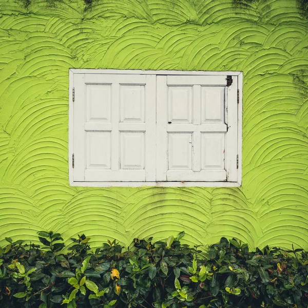 Weißes Fenster und grüner Hintergrund Jahrgang — Stockfoto