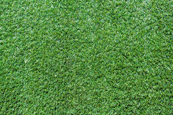 Turf Grass Texture and surface — Stock Photo, Image