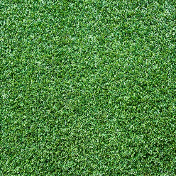 Turf Grass Texture and surface — Stock Photo, Image