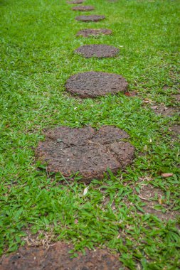 Adım yeşil yemyeşil bir parkta taş yol