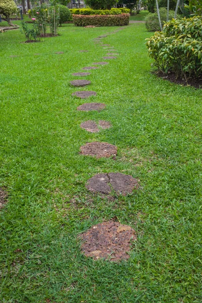 Kamenná cesta krok do svěže zeleného parku — Stock fotografie
