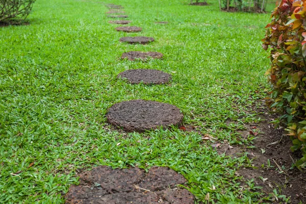 Chemin de pierre étape dans un parc vert luxuriant — Photo