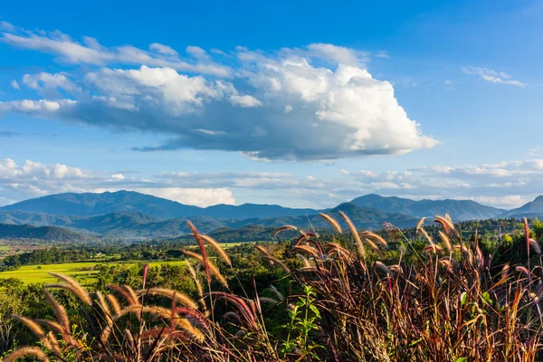 Beau paysage de montagnes en Thaïlande . — Photo