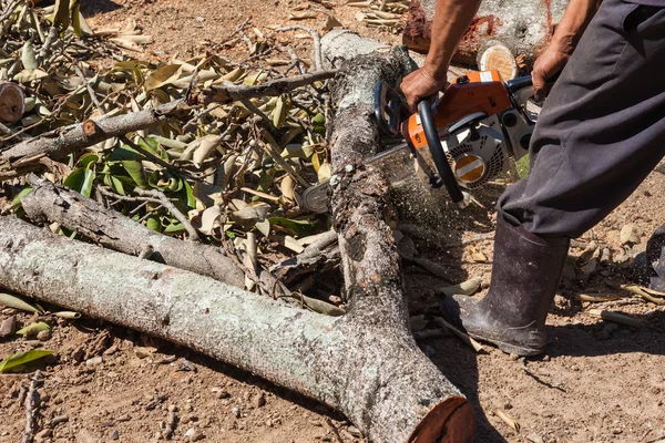 L'uomo sta usando la lama della motosega per tagliare tronchi di legno — Foto Stock