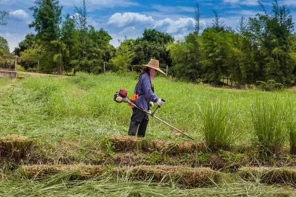 Farmer is doing lawnmower — Stock Photo, Image