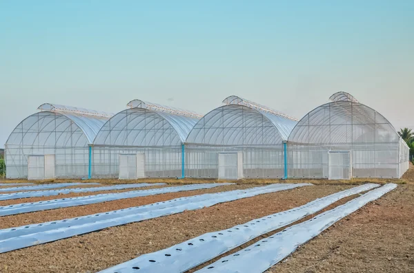 Empty greenhouse and farm field — Stock Photo, Image