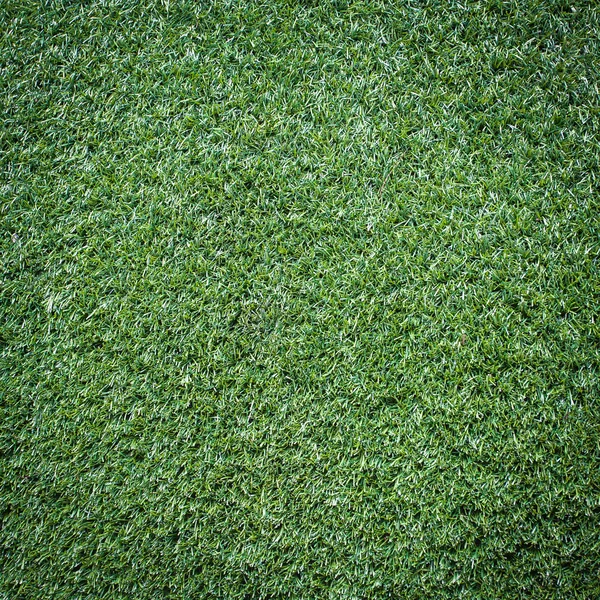 Trávník trávník textury a povrchu pro pozadí — Stock fotografie