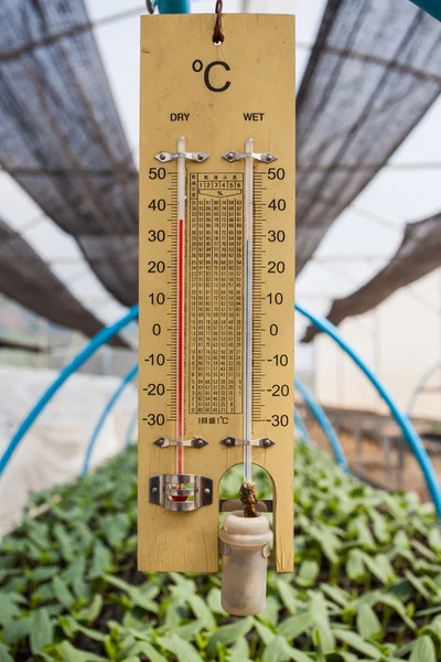 Thermometer in greenhouse seedling. — Stock Photo, Image