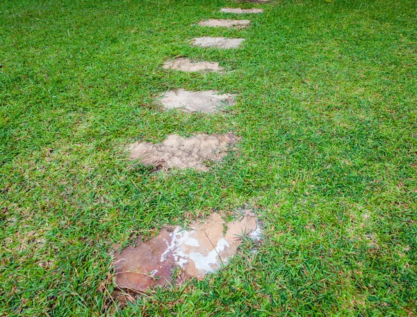 Chemin de pierre étape dans un parc vert luxuriant — Photo