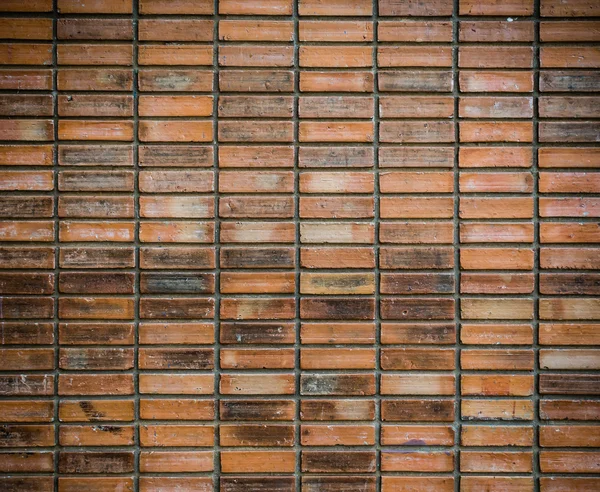 Texture et fond du mur de briques — Photo