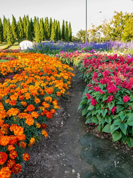 Coloridos macizos de flores y sinuoso camino de hierba en un atractivo — Foto de Stock