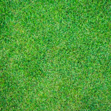 Dikişsiz yeşil çim arka plan