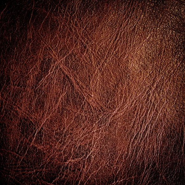 Textura de cuero marrón con espacio para texto — Foto de Stock