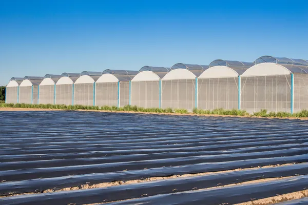 Pohled pro skleník s modrou oblohu a oblasti zemědělství — Stock fotografie