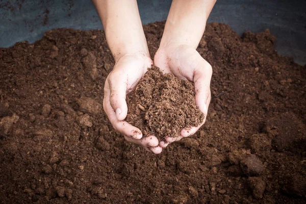 Torba muschio terra sulla donna mano — Foto Stock