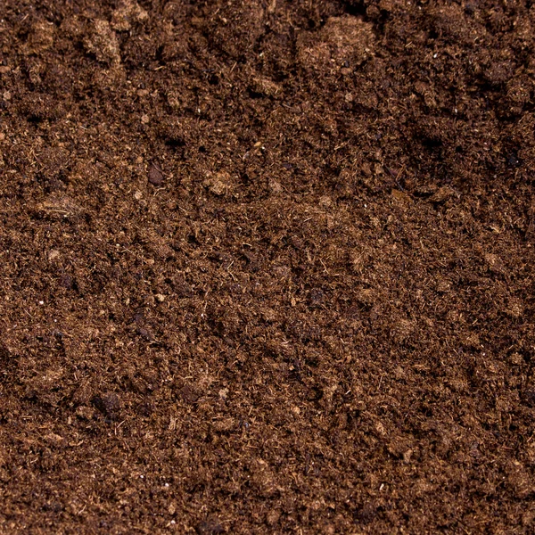 Peat moss soil — Stock Photo, Image