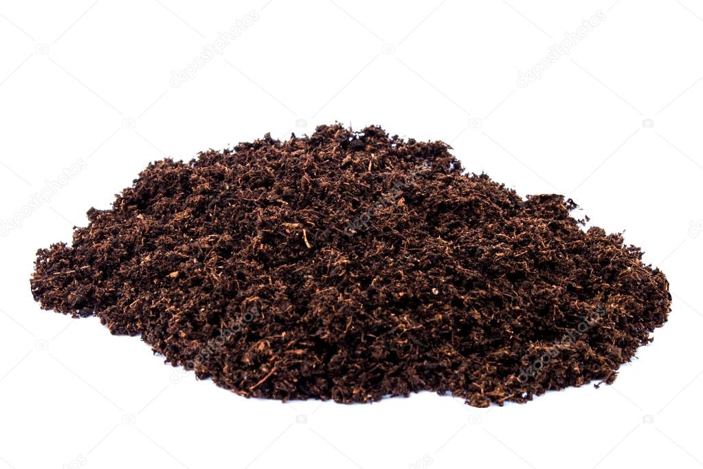 Soil peat moss on isolated white background