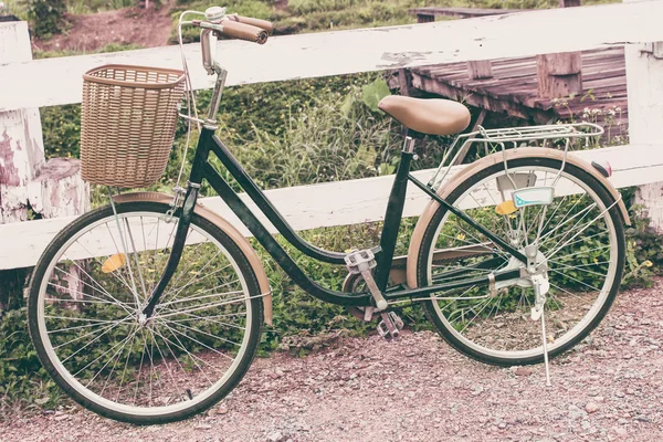 Vintage Bicycle in garden and fence wood — Stock Photo, Image