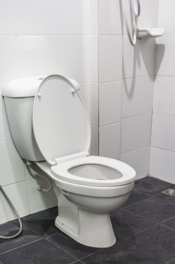 modern bir banyo klozet.