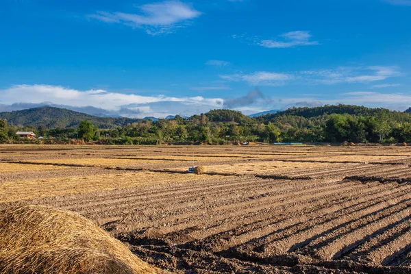 Suolo sul campo agricoltura nel paese thailandese — Foto Stock