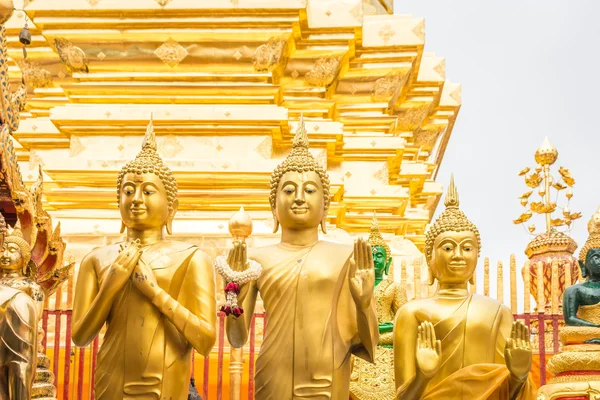 Zlatý buddha v chrámu chiang mai Asie Thajsko — Stock fotografie