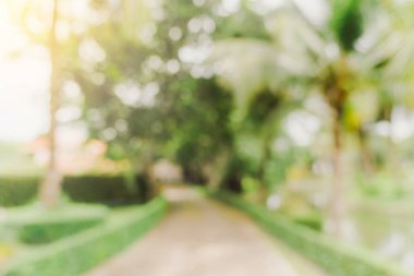 Odaklanamadığı bokeh ve bahçe ağaçlarının arka planı günışığında klasik tonlu..