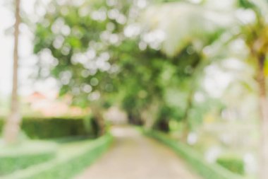 Odaklanamadığı bokeh ve bahçe ağaçlarının arka planı günışığında klasik tonlu..