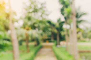 Odaklanamadığı bokeh ve bahçe ağaçlarının arka planı günışığında klasik tonlu..