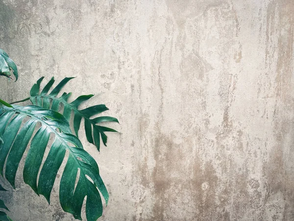 コンクリートのグランジの背景古い壁と緑の葉のスタイルのヴィンテージテクスチャ — ストック写真